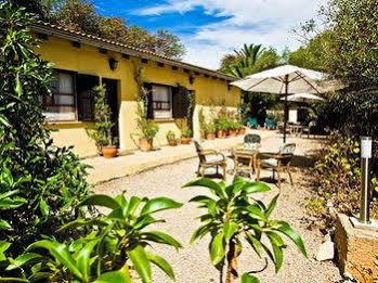 Finca Hotel Predio Son Serra Can Picafort  Exteriér fotografie